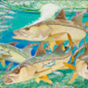 Meet your Posher, Griffin